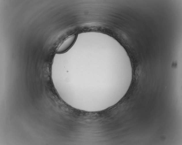 X0000112821062200909181619