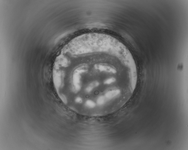 X0000112821063200909181619