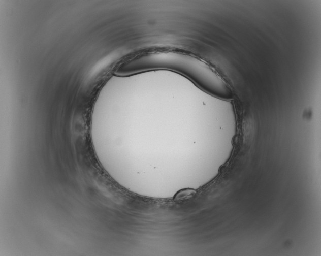 X0000112821064200909181619