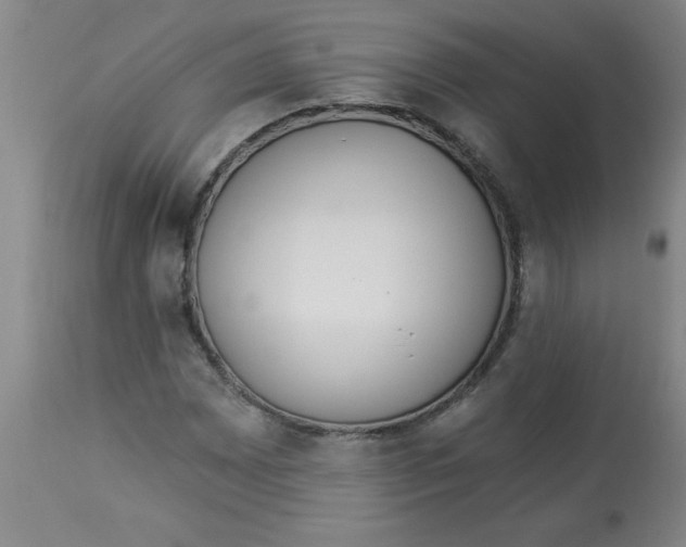 X0000112821065200909181619