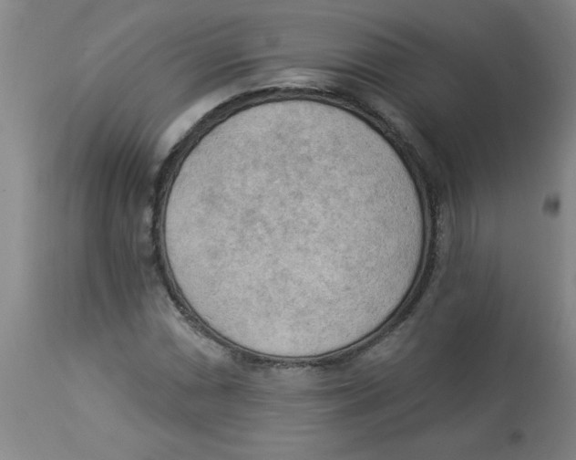 X0000112821066200909181619