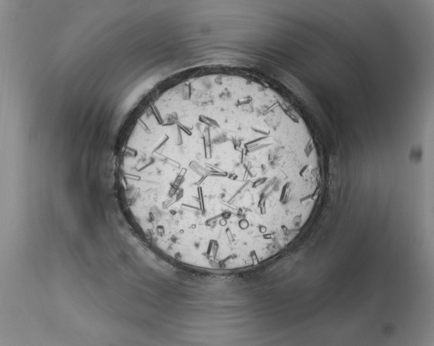 X0000112821067200909181619