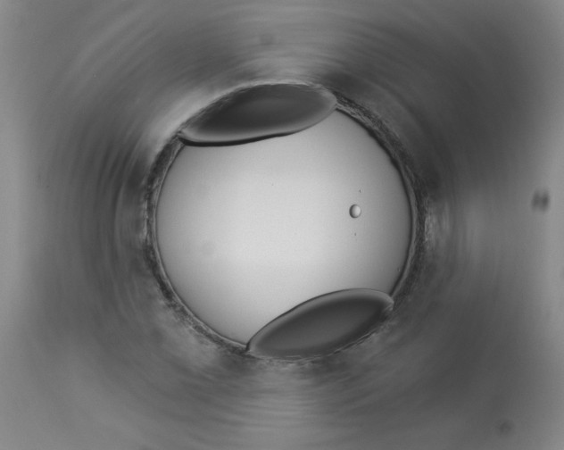 X0000112821069200909181619