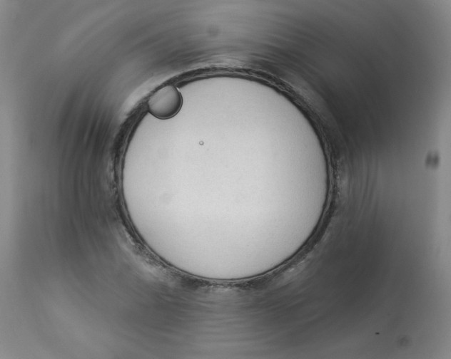 X0000112821070200909181619