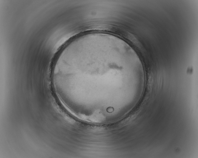 X0000112821071200909181619