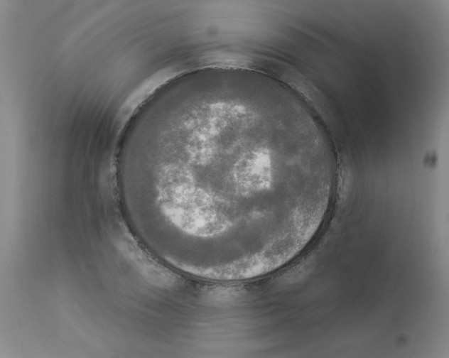 X0000112821074200909181619