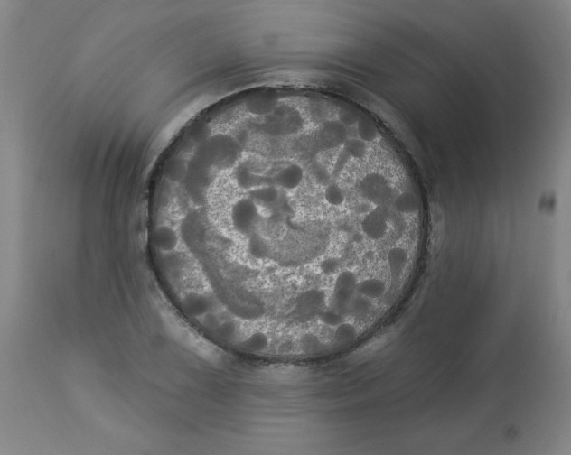 X0000112821075200909181619