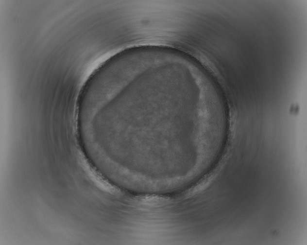 X0000112821077200909181619