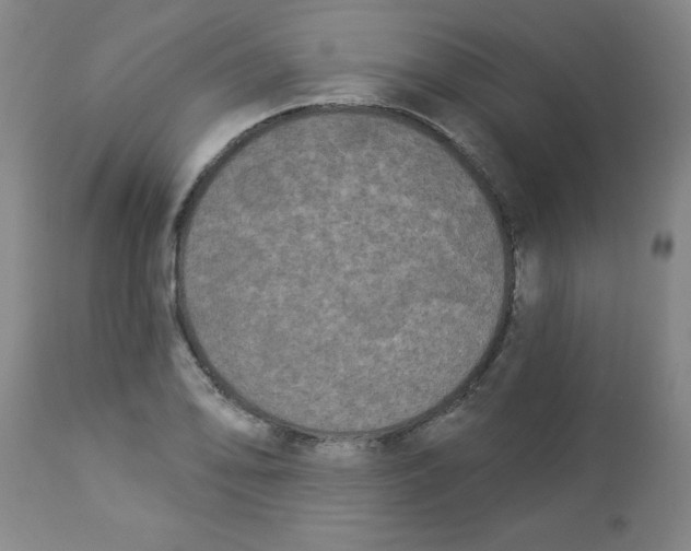 X0000112821078200909181619