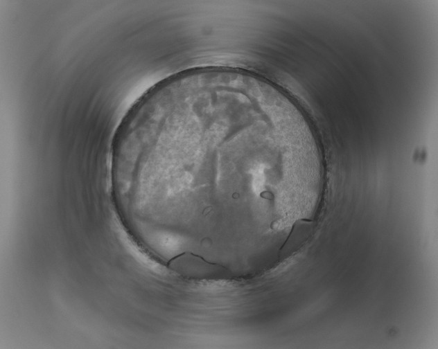 X0000112821079200909181619