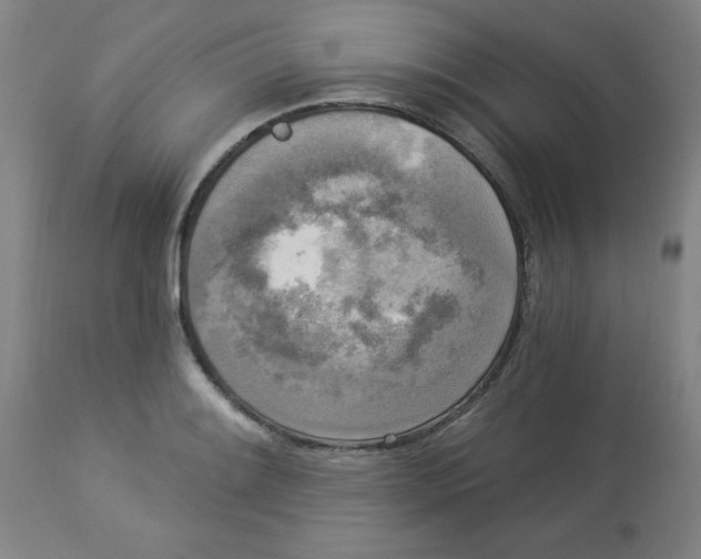 X0000112821084200909181619