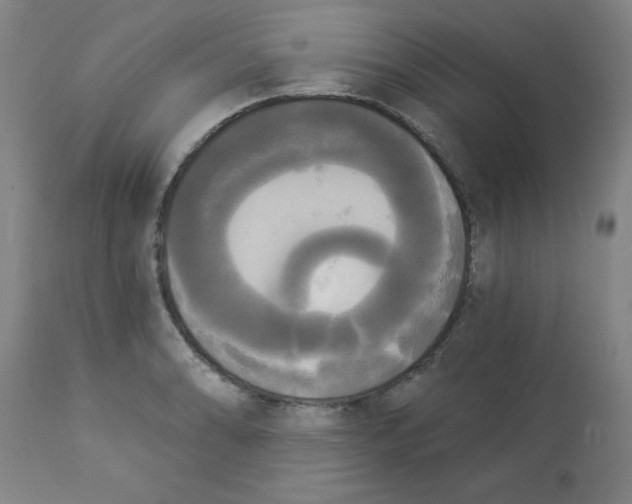 X0000112821086200909181619