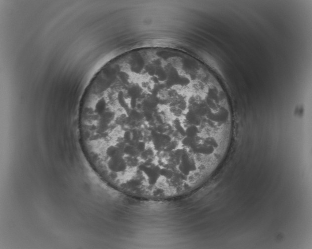 X0000112821087200909181619