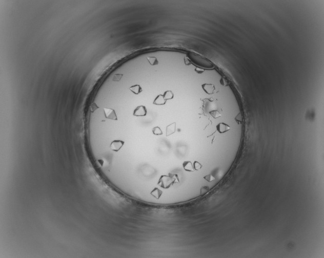X0000112821088200909181619