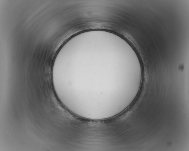 X0000112821089200909181619