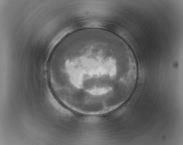 X0000112821090200909181619