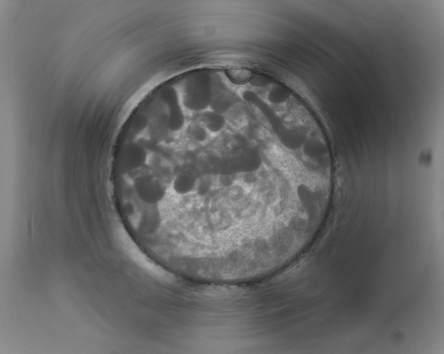 X0000112821091200909181619