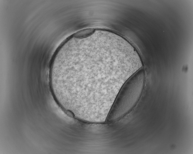 X0000112821092200909181619