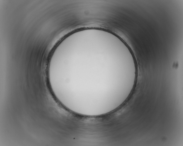 X0000112821093200909181619