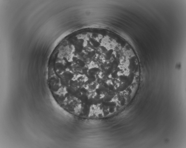 X0000112821095200909181619