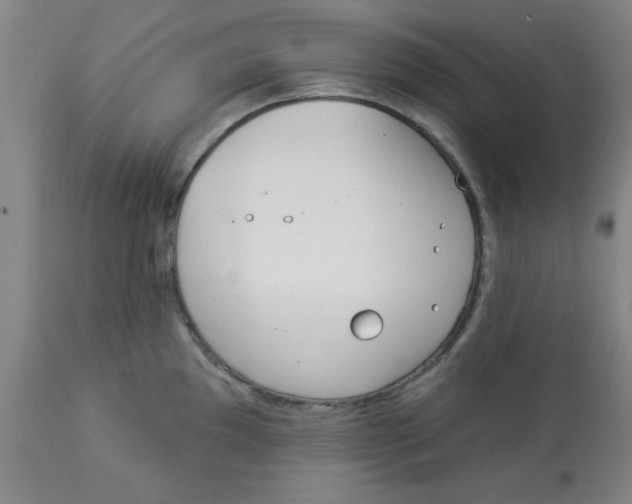 X0000112821097200909181619