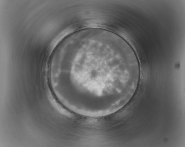 X0000112821098200909181619