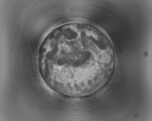 X0000112821099200909181619