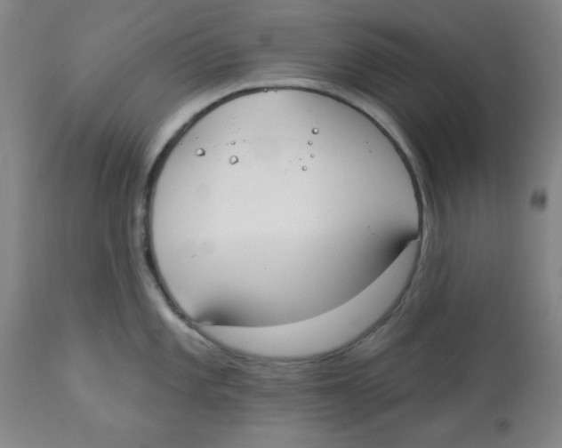 X0000112821101200909181619