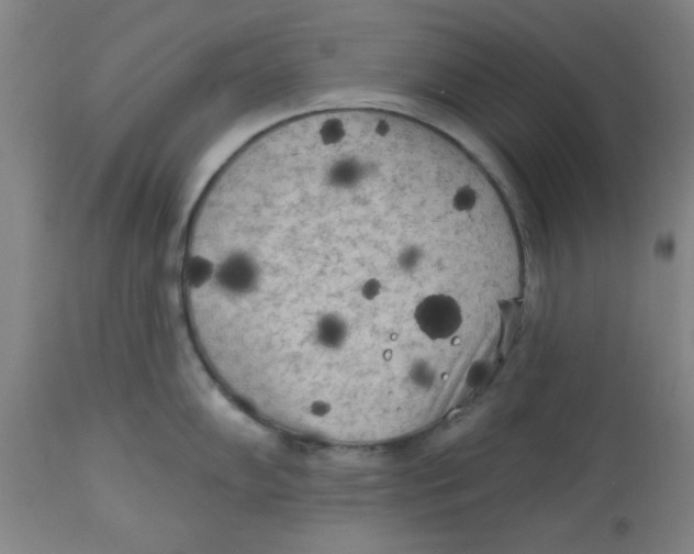 X0000112821102200909181619