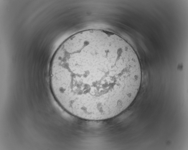 X0000112821103200909181619