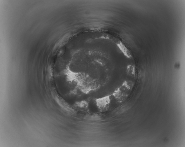 X0000112821106200909181618