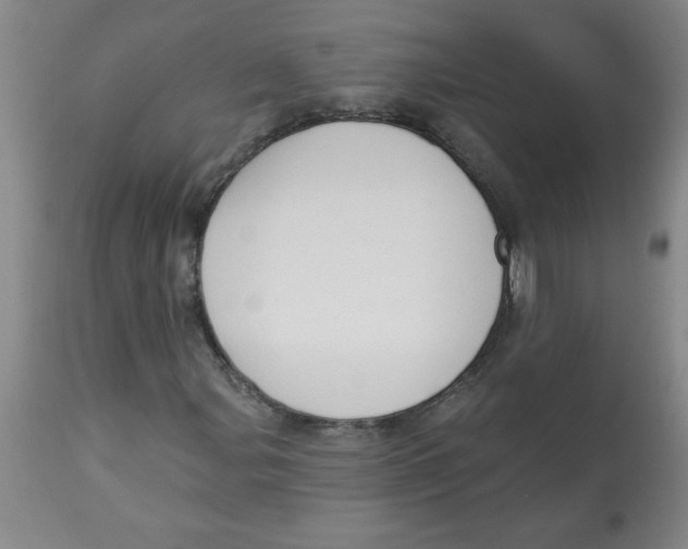 X0000112821107200909181618