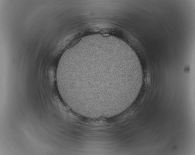 X0000112821108200909181618