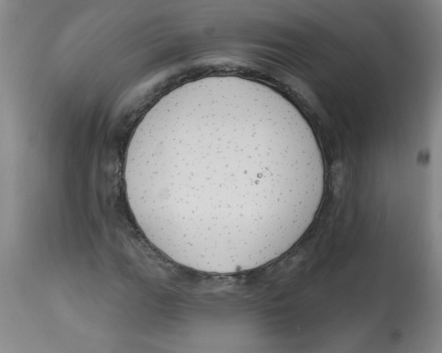 X0000112821111200909181618