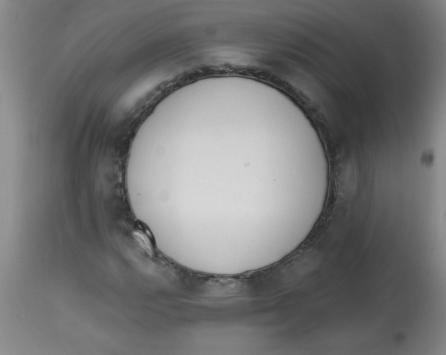 X0000112821112200909181618