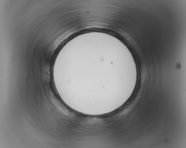 X0000112821113200909181618