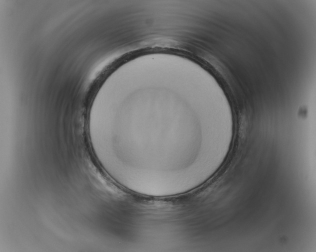 X0000112821115200909181618