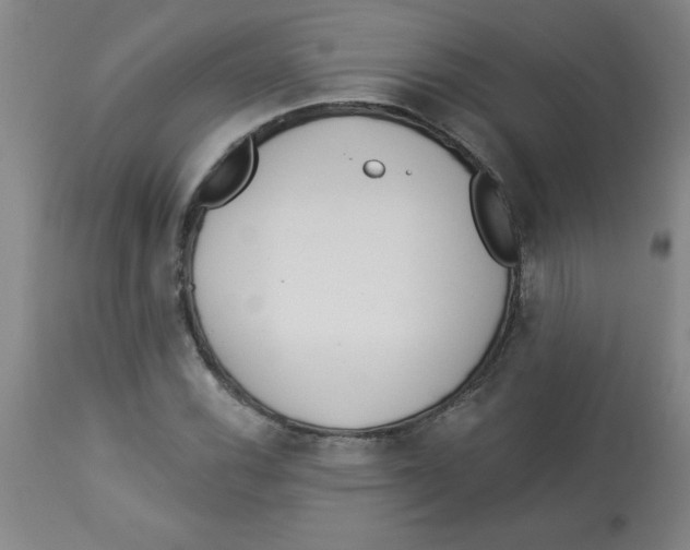 X0000112821116200909181618