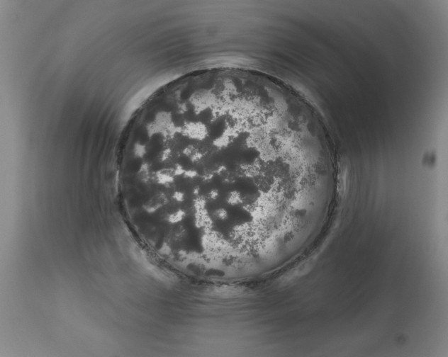 X0000112821117200909181618