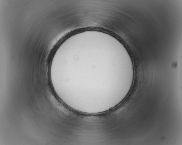 X0000112821118200909181618