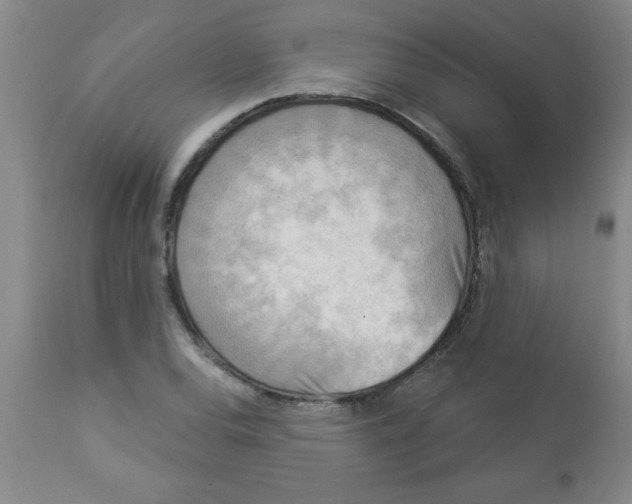 X0000112821120200909181618