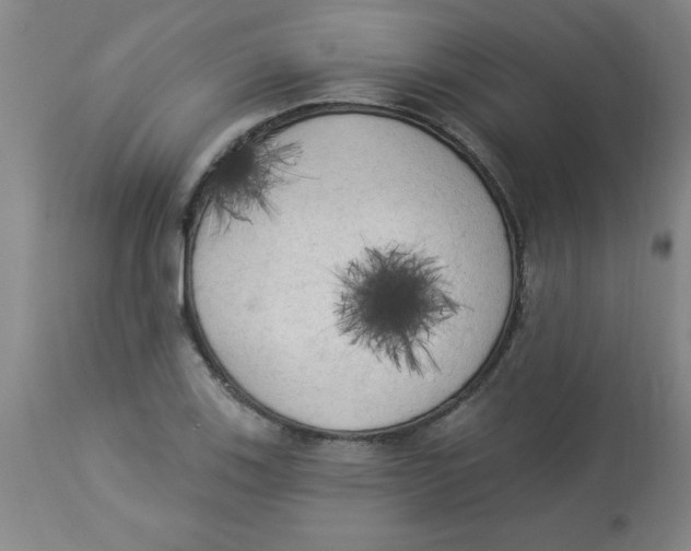 X0000112821123200909181618