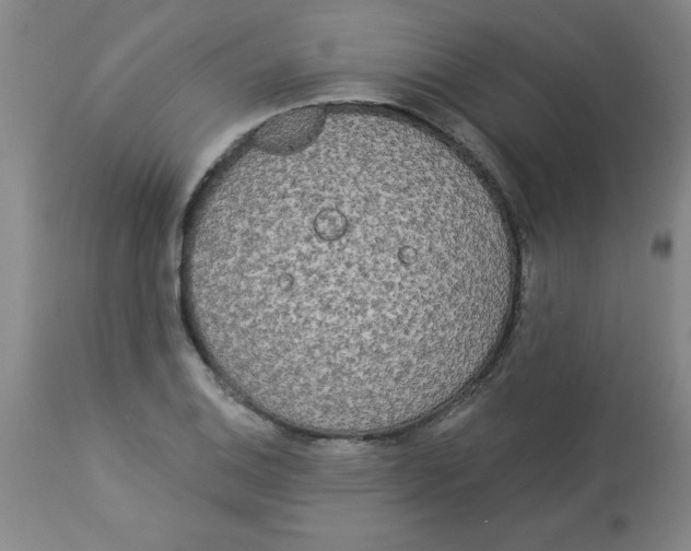 X0000112821124200909181618