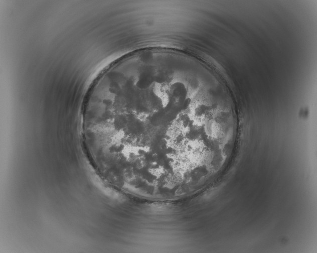 X0000112821125200909181618