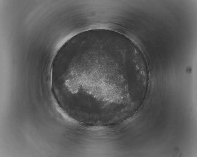 X0000112821127200909181619