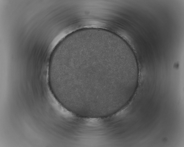 X0000112821130200909181619