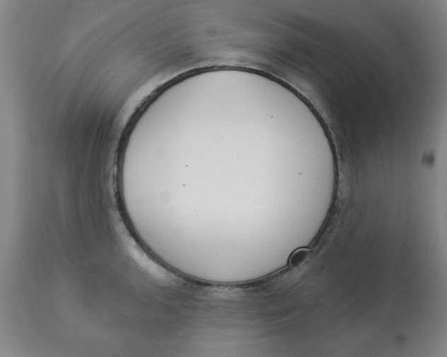 X0000112821136200909181619