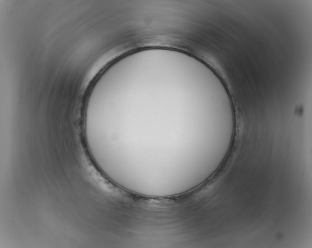 X0000112821138200909181619