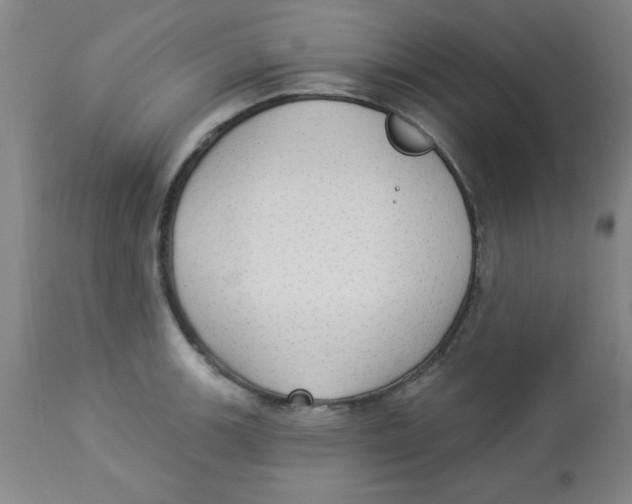 X0000112821139200909181619