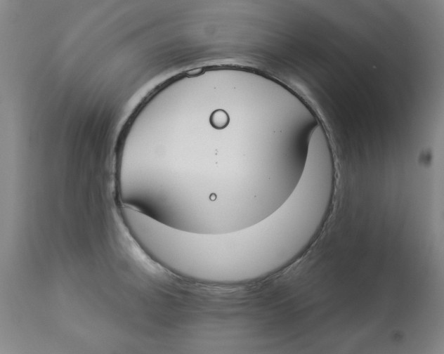 X0000112821140200909181619